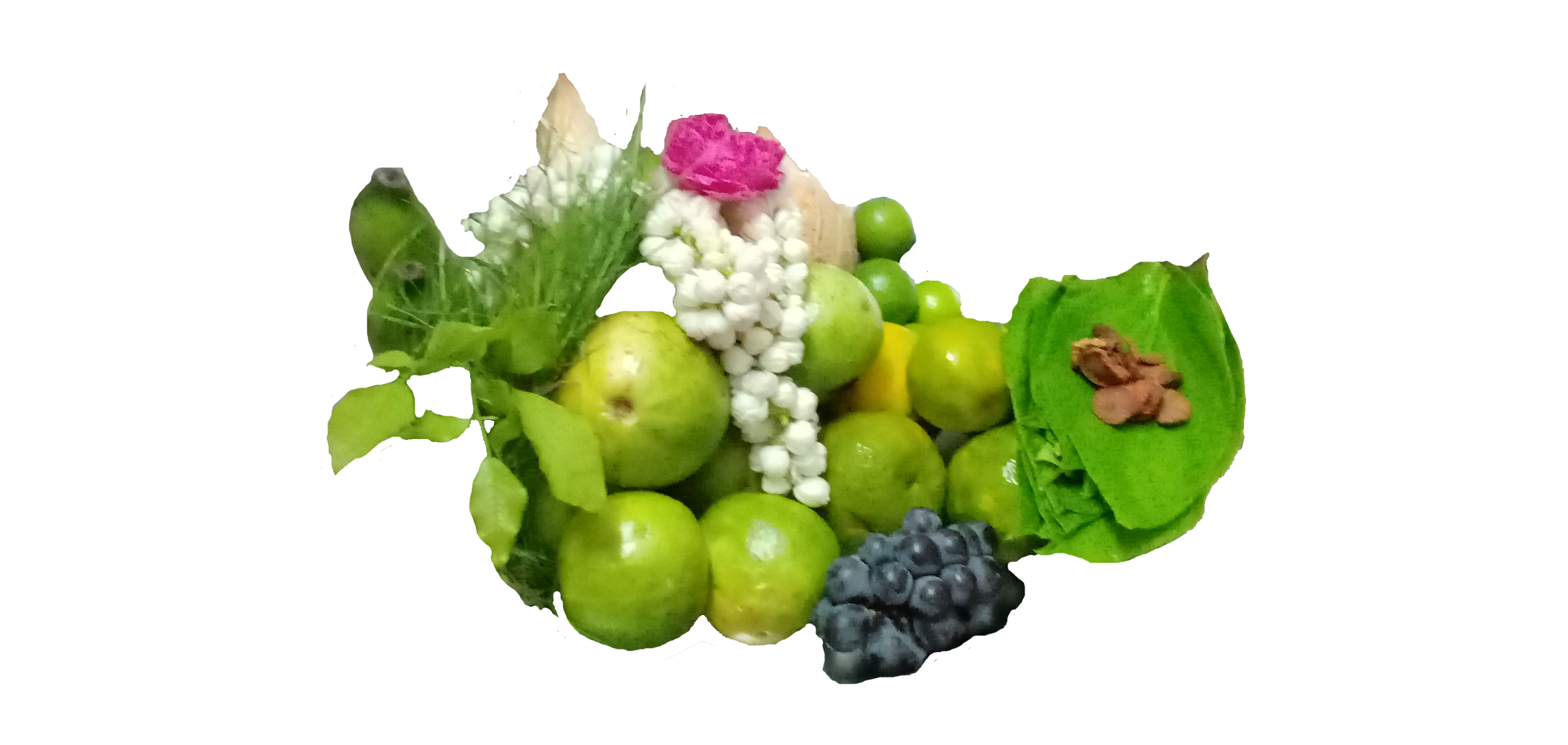 coconut, flowers and fruits