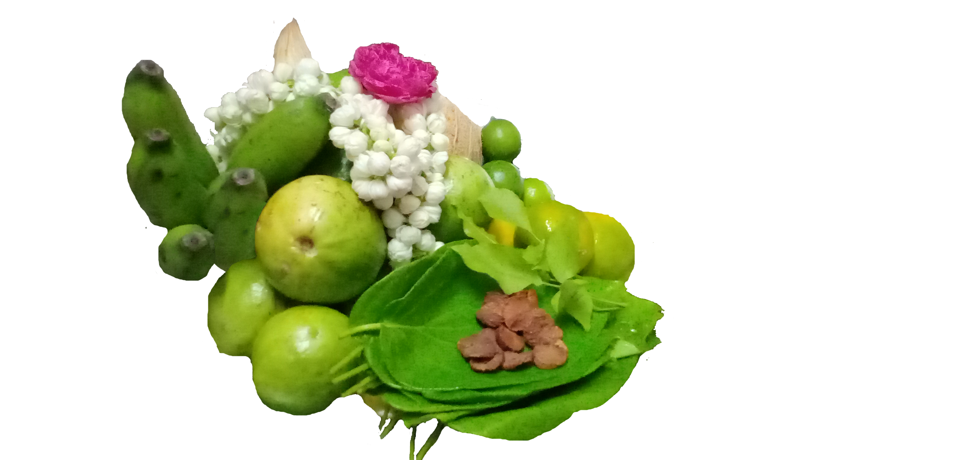 coconut, flowers and fruits