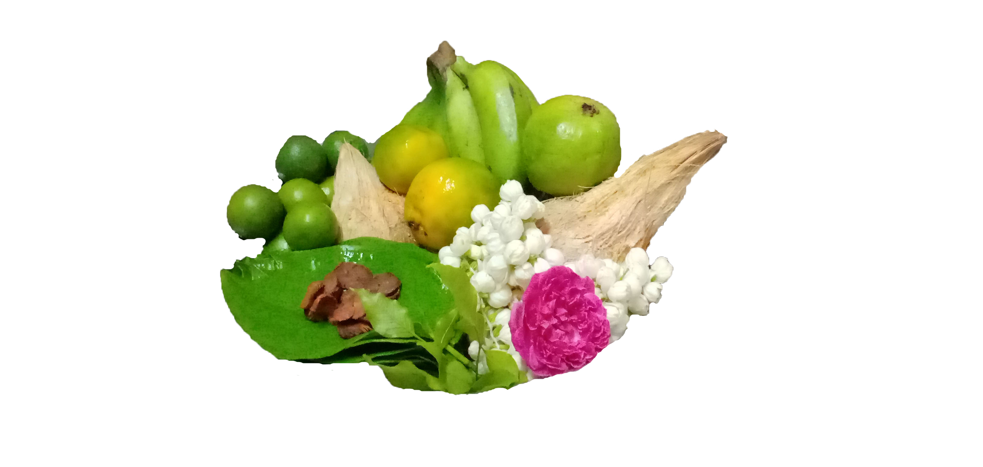 coconut, flowers and fruits