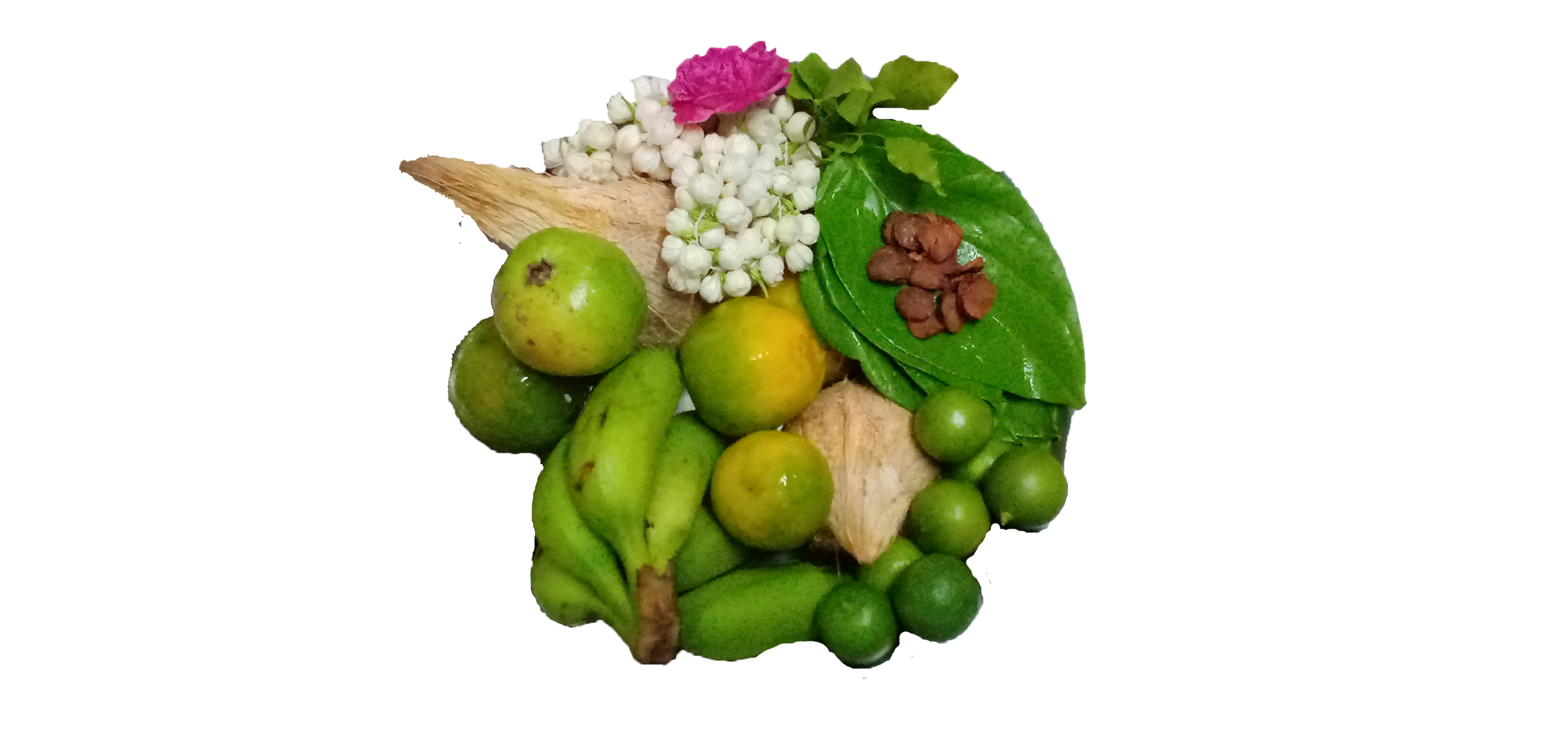 coconut, flowers and fruits