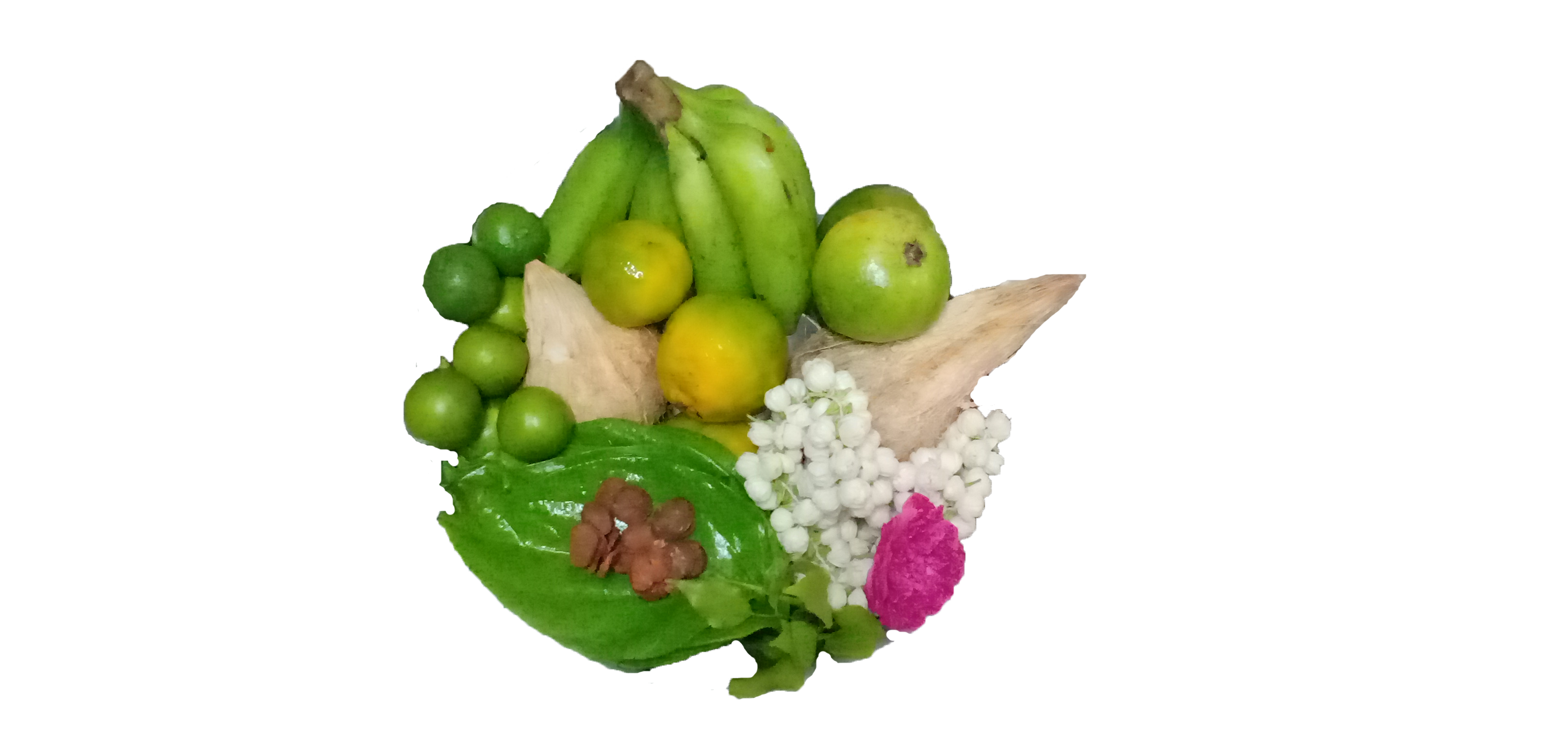 coconut, flowers and fruits