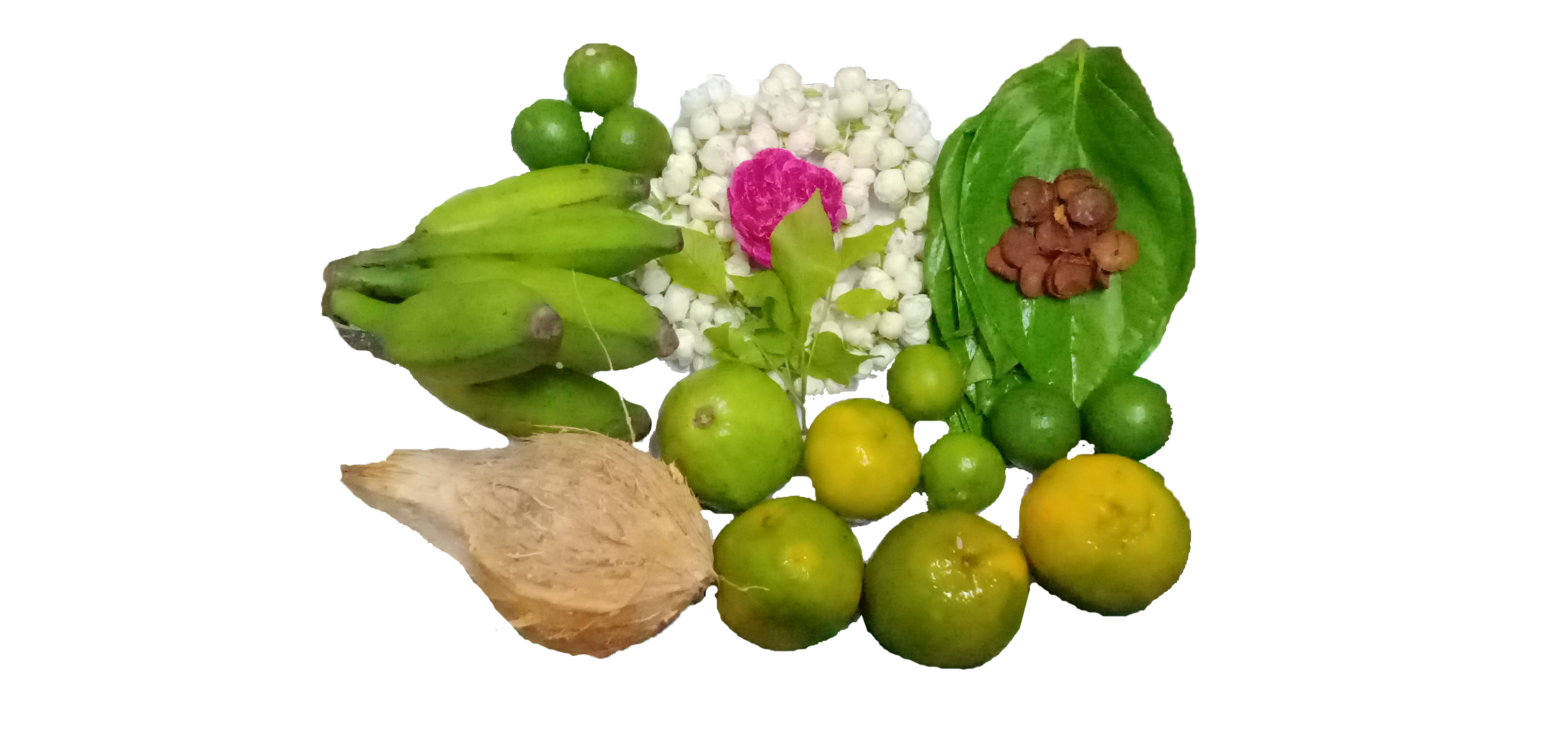 coconut, flowers and fruits