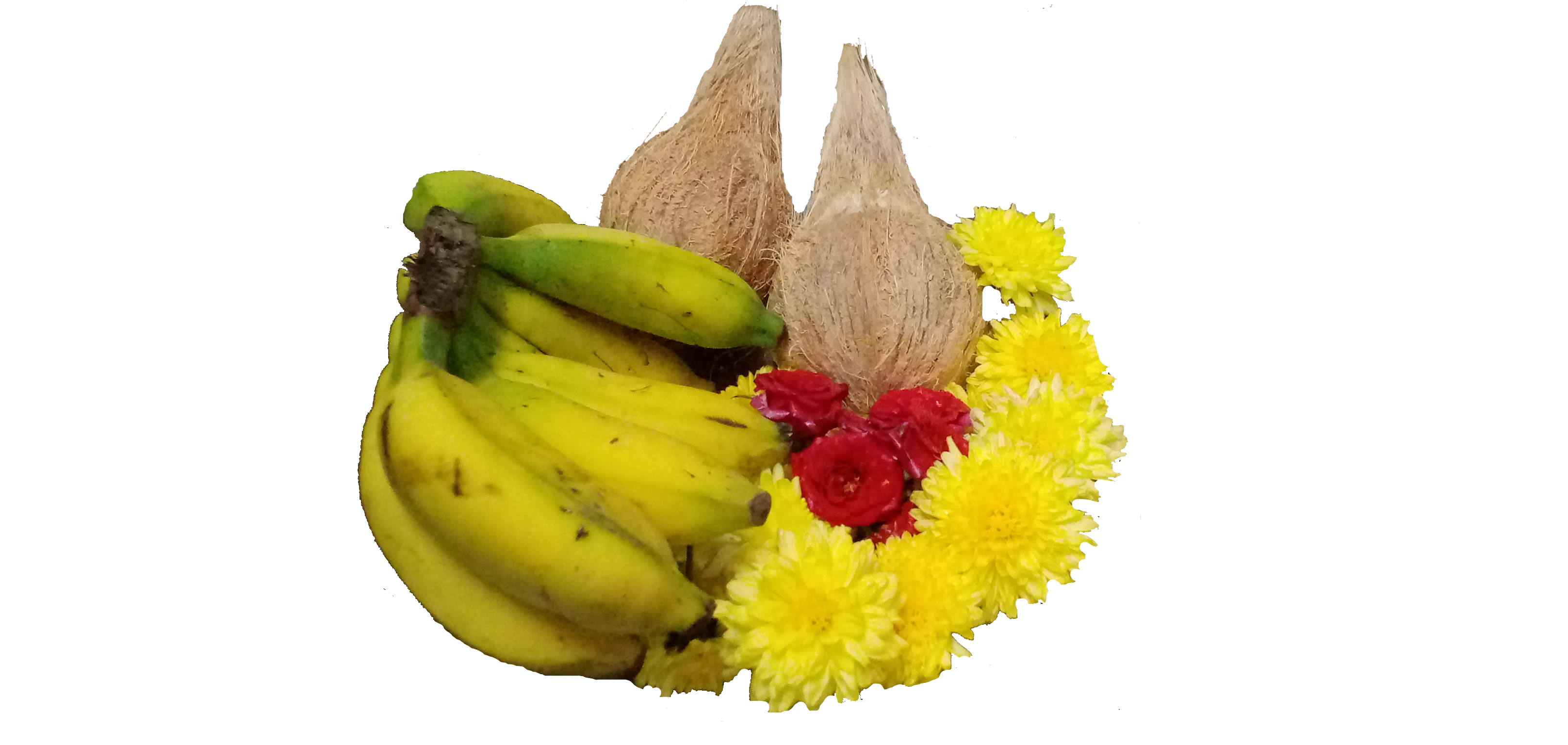 coconut, flowers and fruits