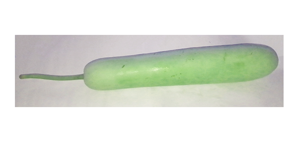 BottleGourd