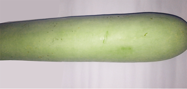 BottleGourd