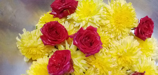 Chamanthi flowers / Chrysanthemum and Red Roses