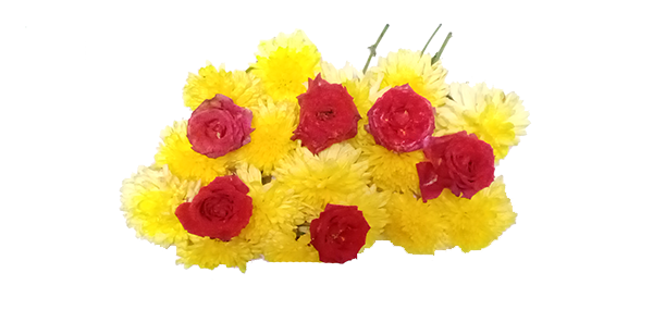 Chamanthi flowers / Chrysanthemum and Red Roses