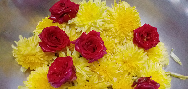 Chamanthi flowers / Chrysanthemum and Red Roses