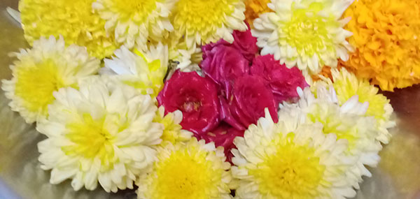 Chamanthi flowers / Chrysanthemum and Red Roses