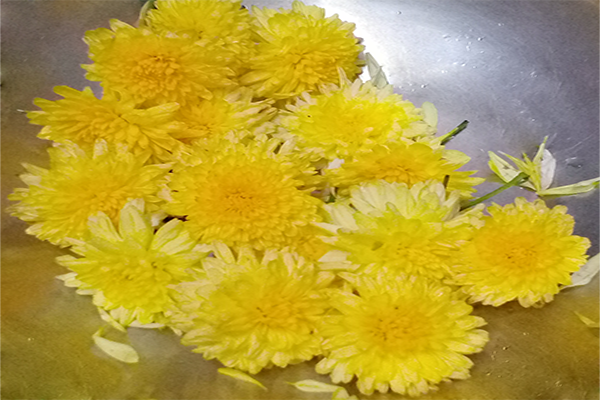 Chrysanthemum / చామంతి