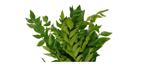 Curry Leaves