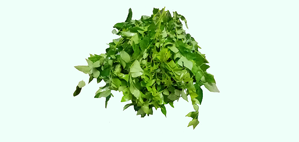 Curry Leaves