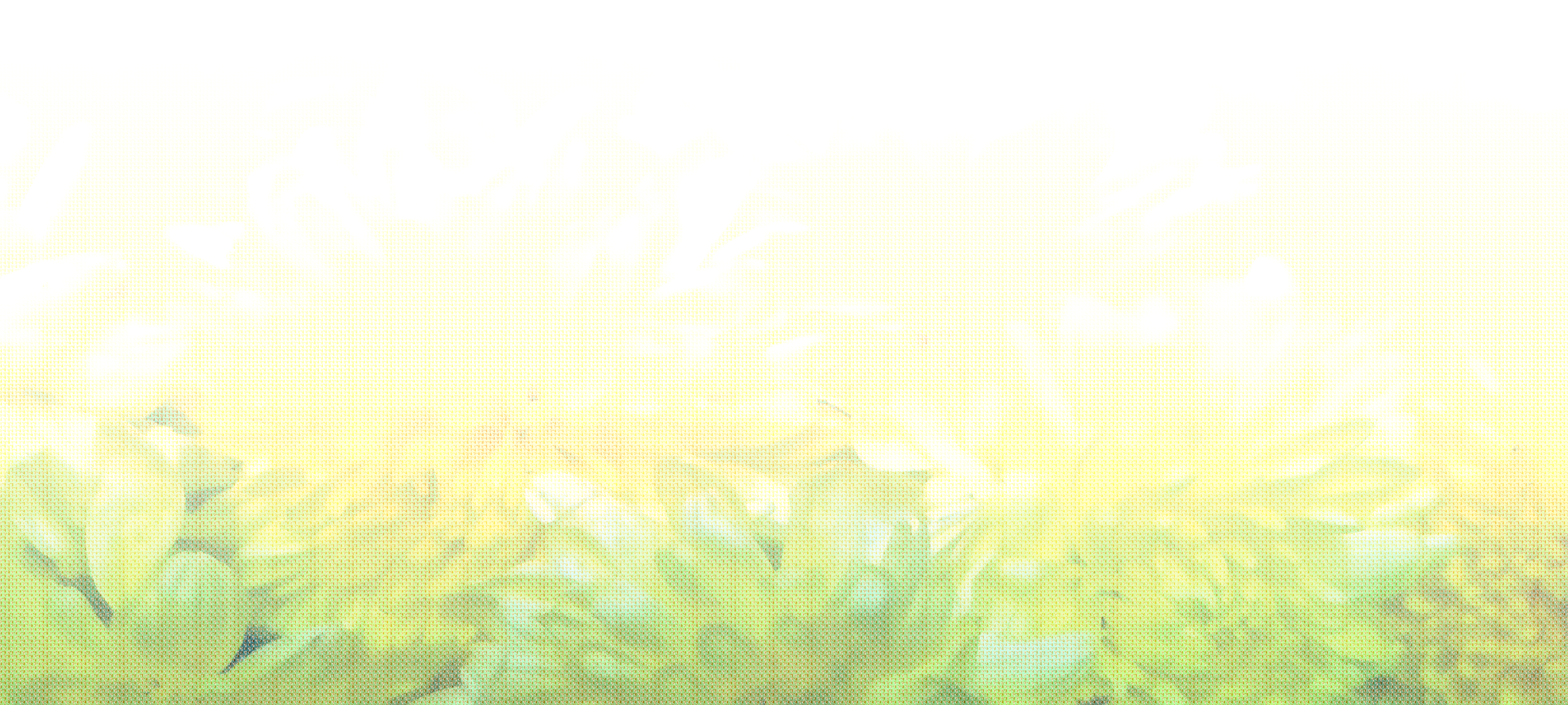 Back Ground Design Colors / Images