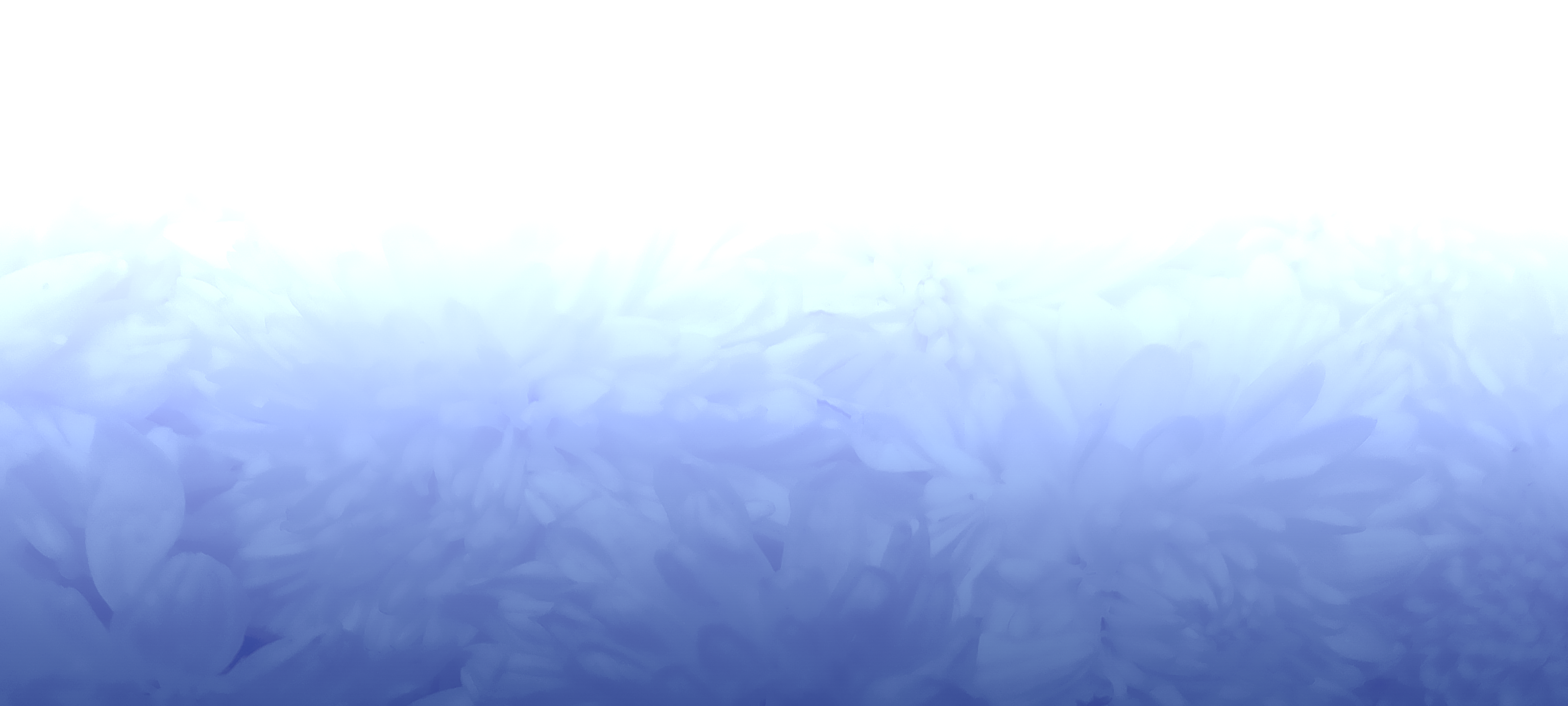 Back Ground Design Colors / Images