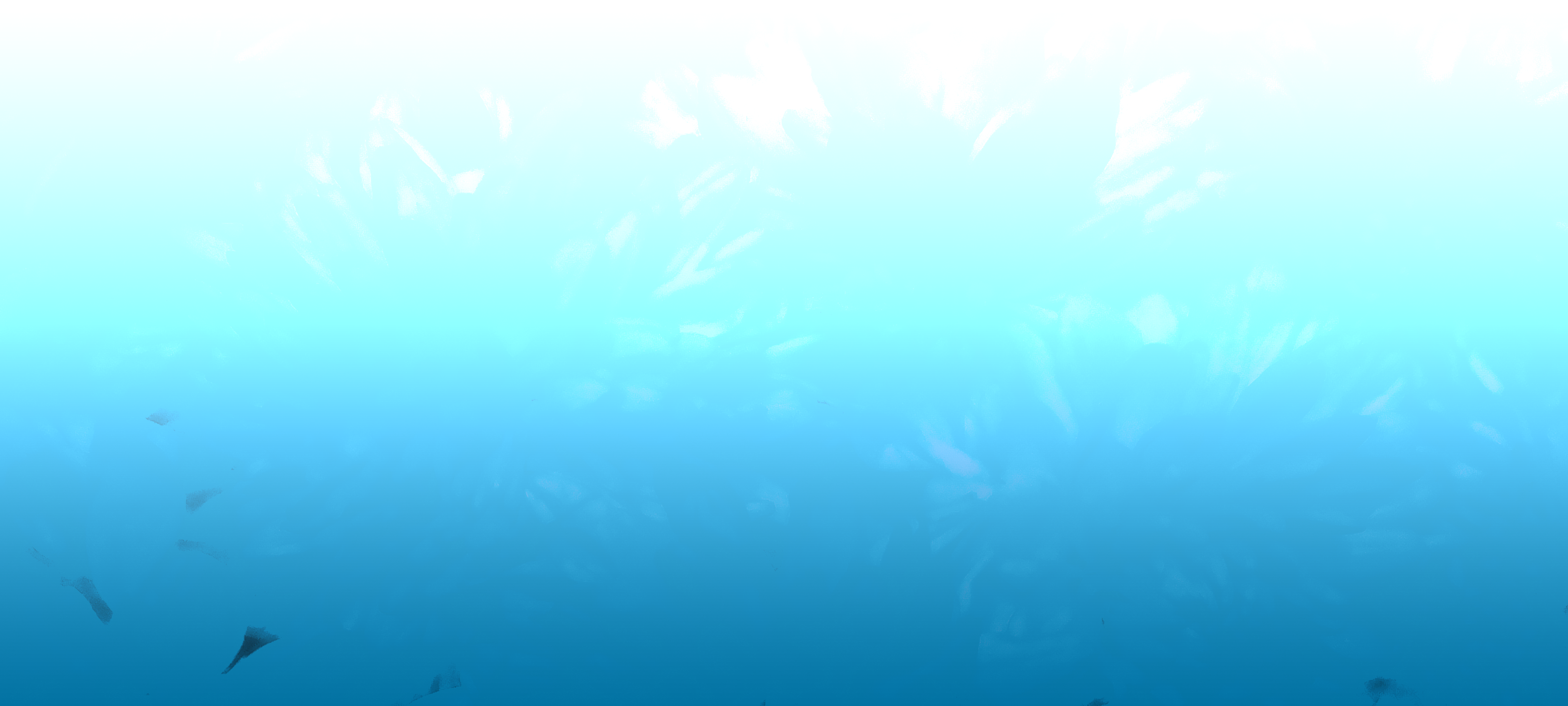 Back Ground Design Colors / Images
