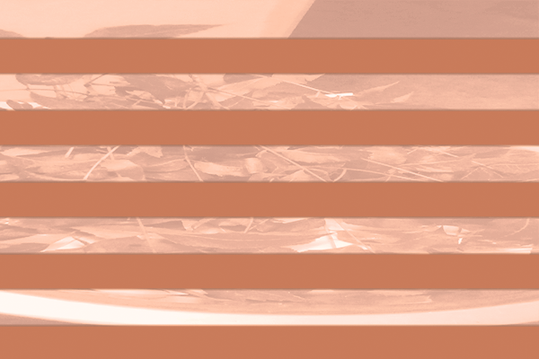 Background Colors