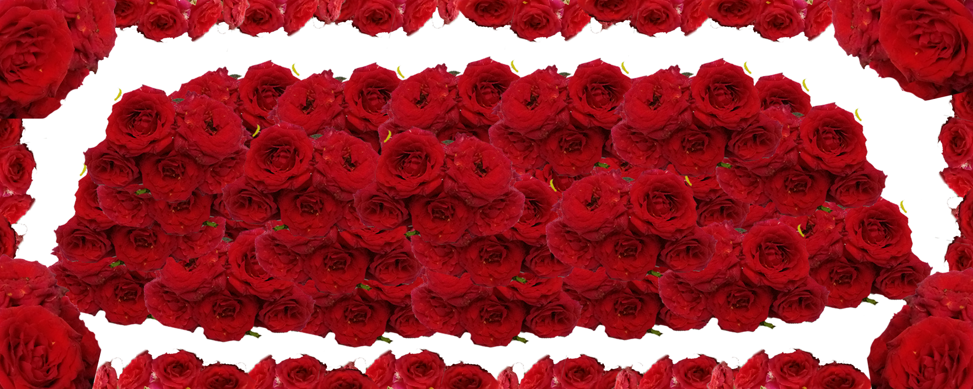 Greeting Wishes Simple Different Modren Design Images, Labels and Stickers