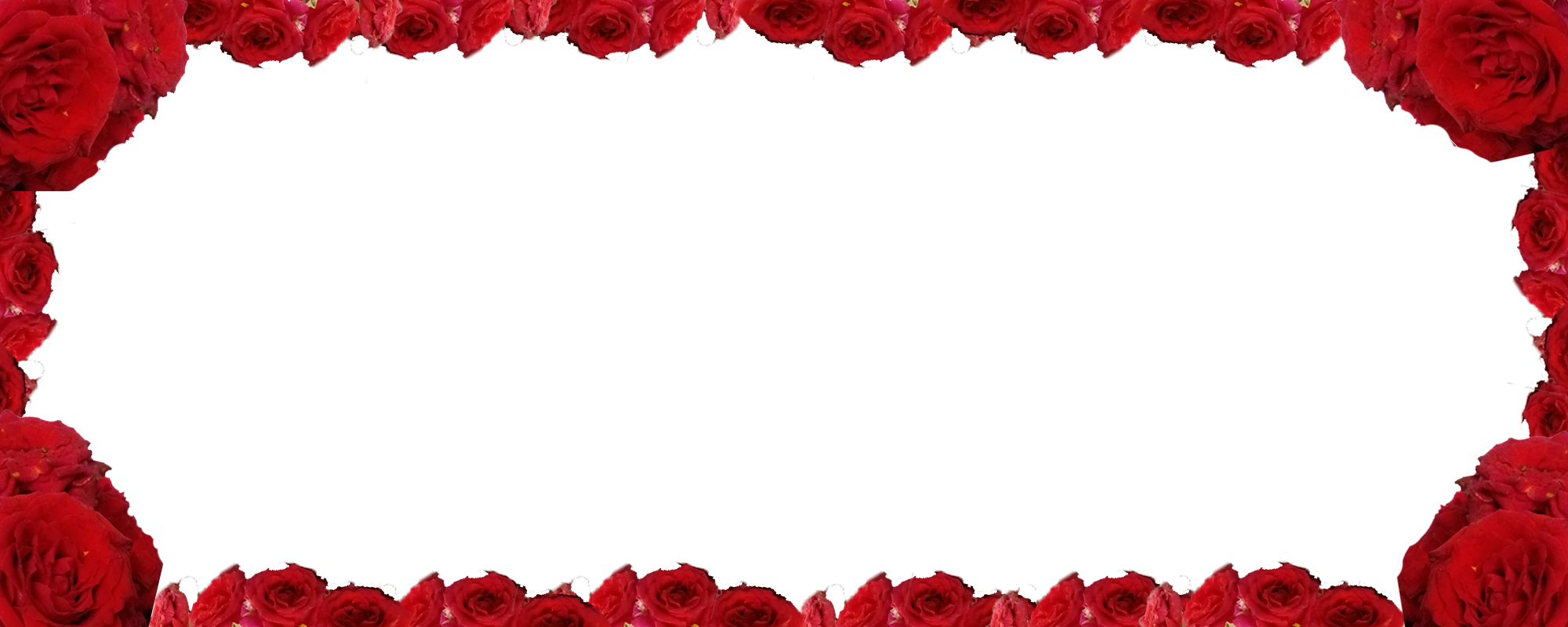 Vector graphic