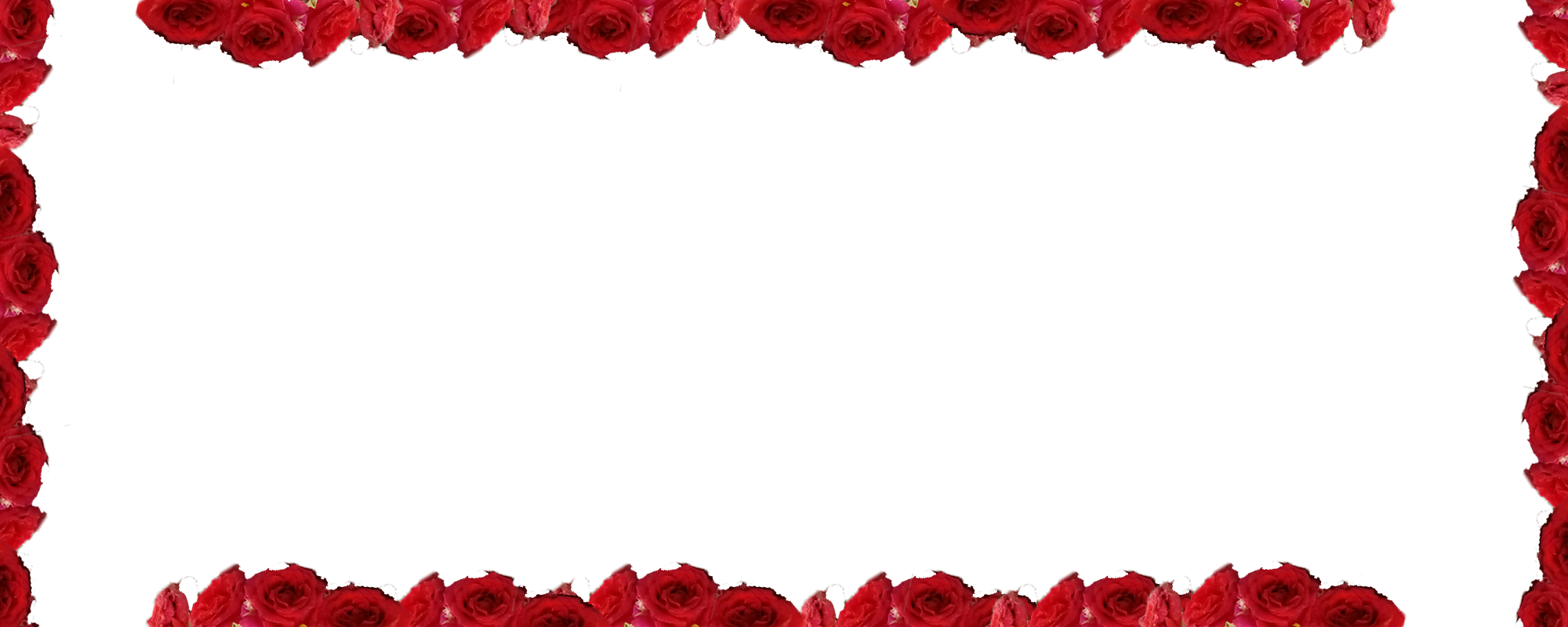 Vector graphic