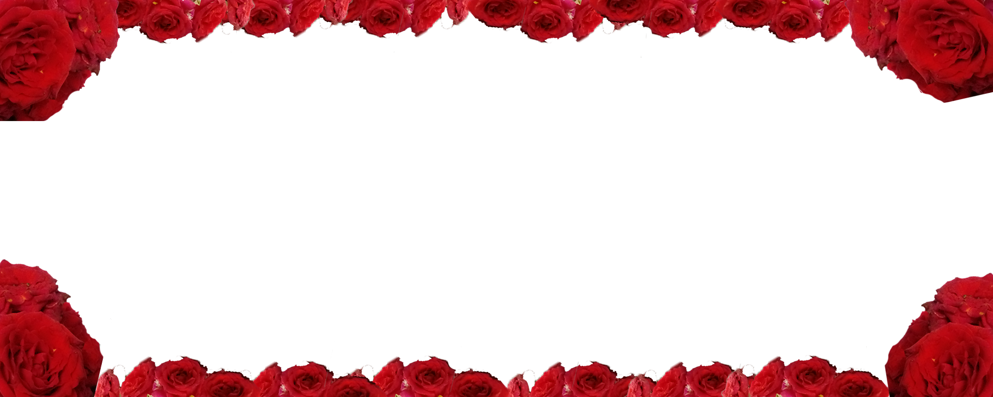 Vector graphic
