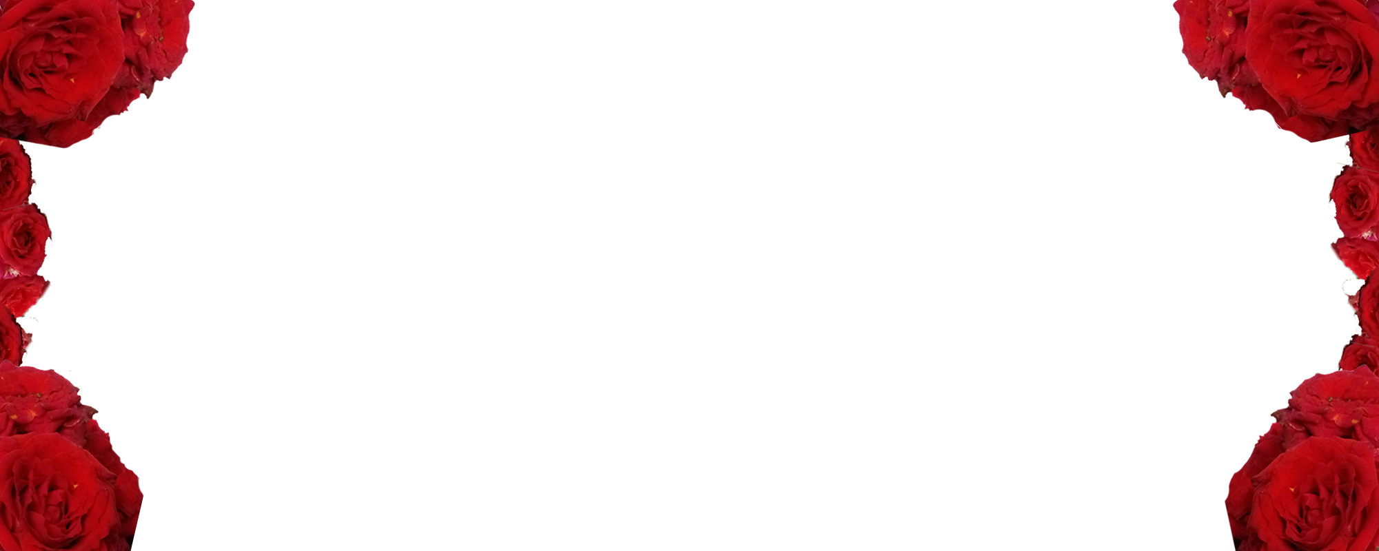 Vector graphic