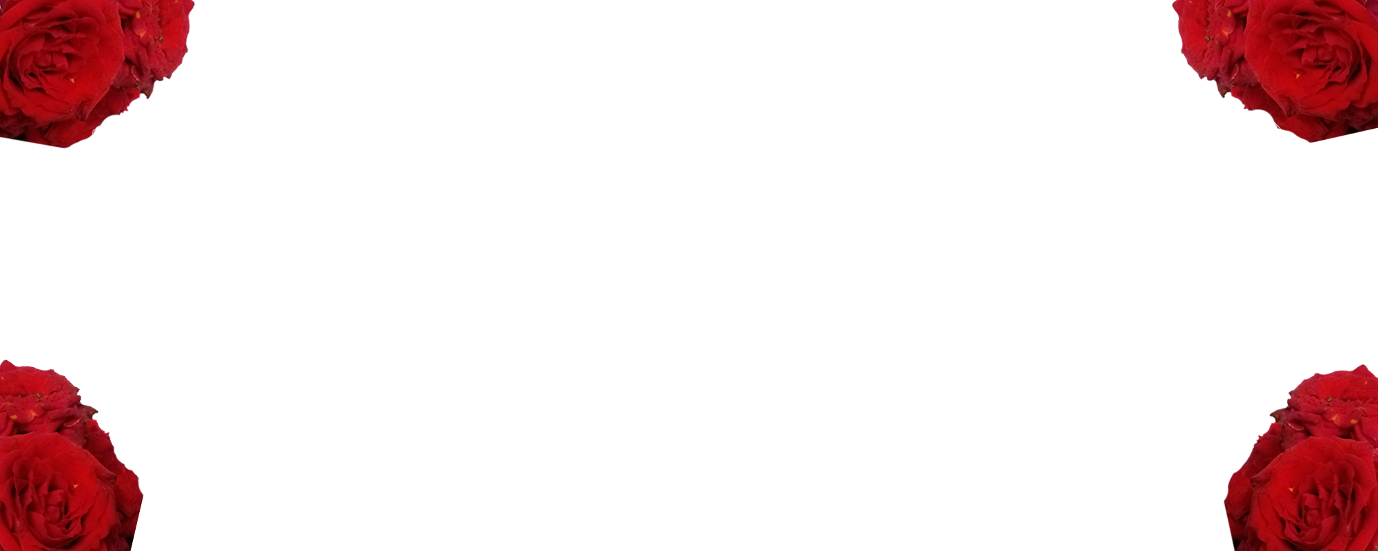 Vector graphic