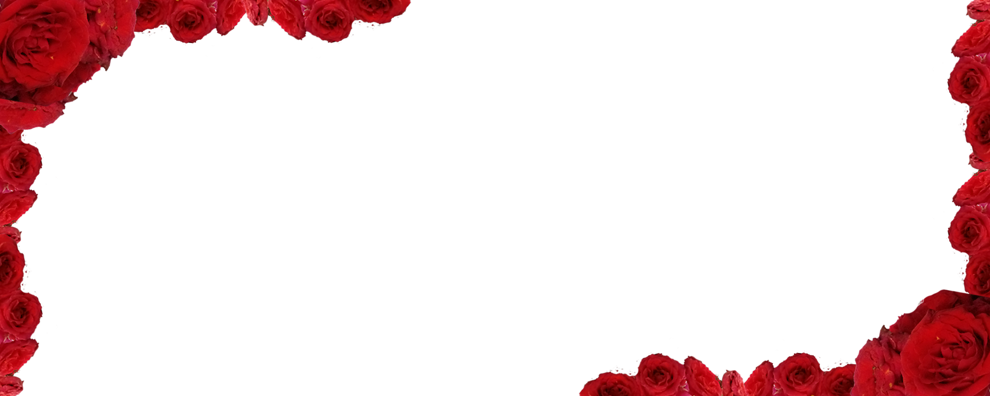 Vector graphic