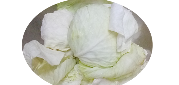 Cabbage(Leafy Vegetable)