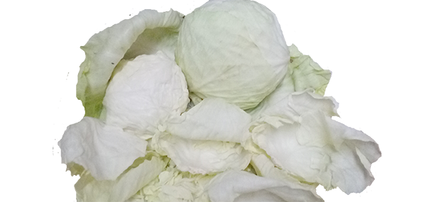 Cabbage(Leafy Vegetable)