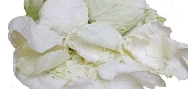 Cabbage(Leafy Vegetable)