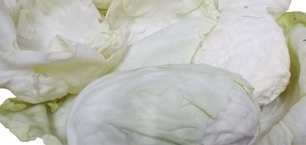 Cabbage(Leafy Vegetable)