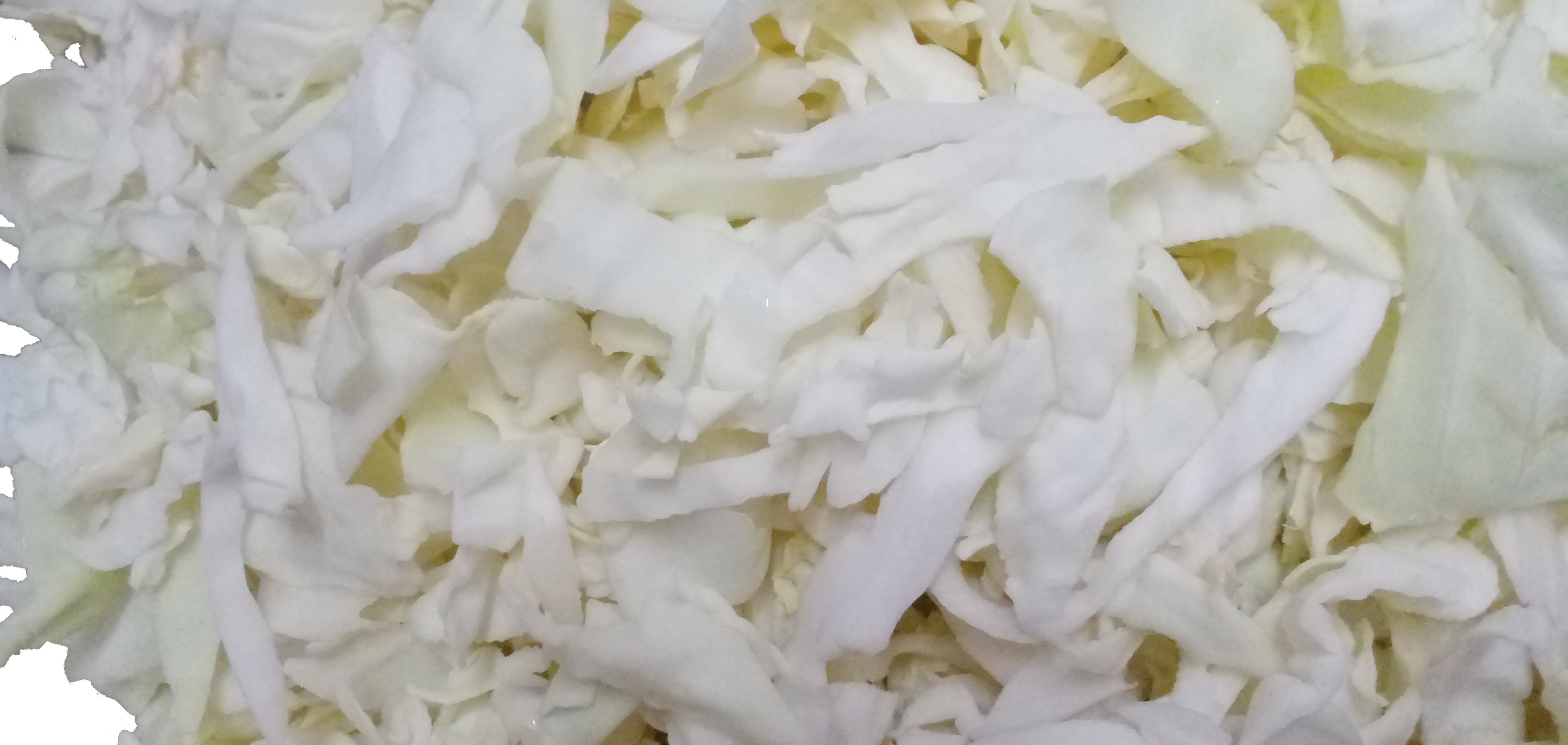 Cabbage(Leafy Vegetable)