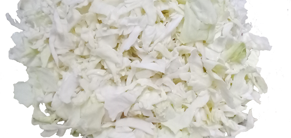 Cabbage(Leafy Vegetable)