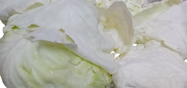 Cabbage(Leafy Vegetable)