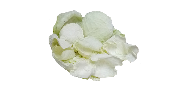 Cabbage(Leafy Vegetable)