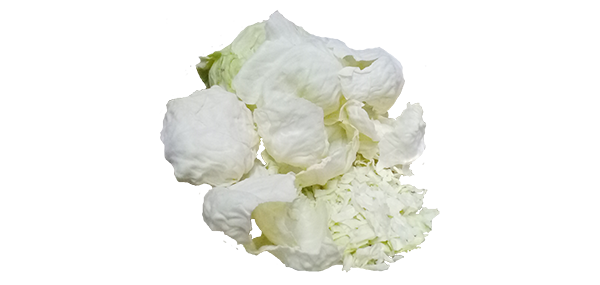Cabbage(Leafy Vegetable)