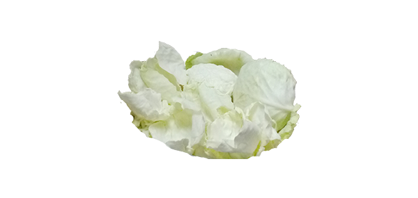 Cabbage(Leafy Vegetable)