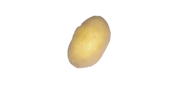Potato