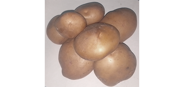Potato