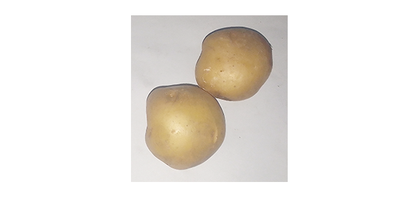Potato