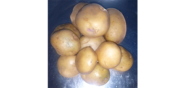 Potato