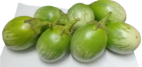 Brinjal