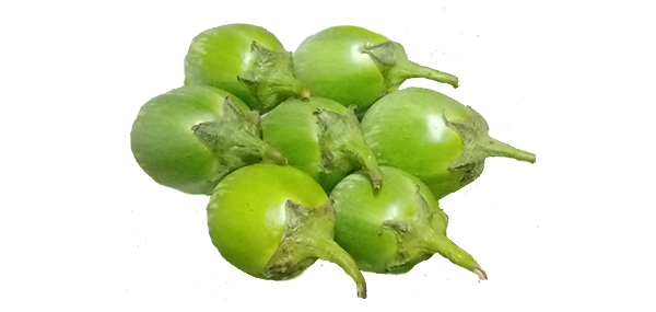 Brinjal