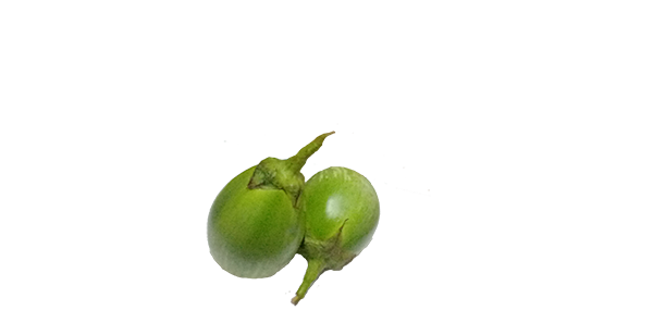 Brinjal