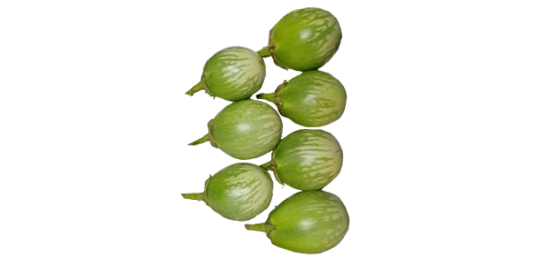 Brinjal