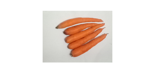 Carrot