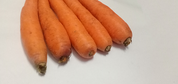 Carrot