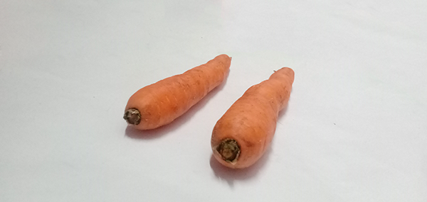 Carrot