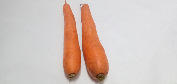 Carrot