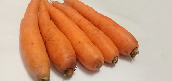 Carrot